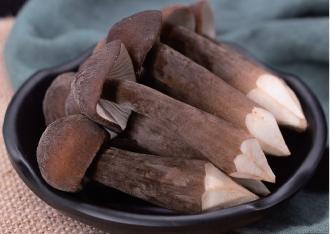 Black-Skinned Termitomyces