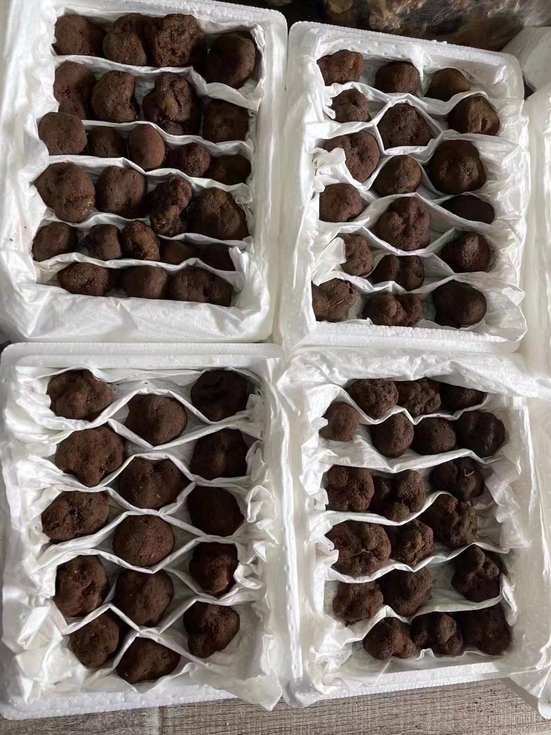 Whole black truffle exterior