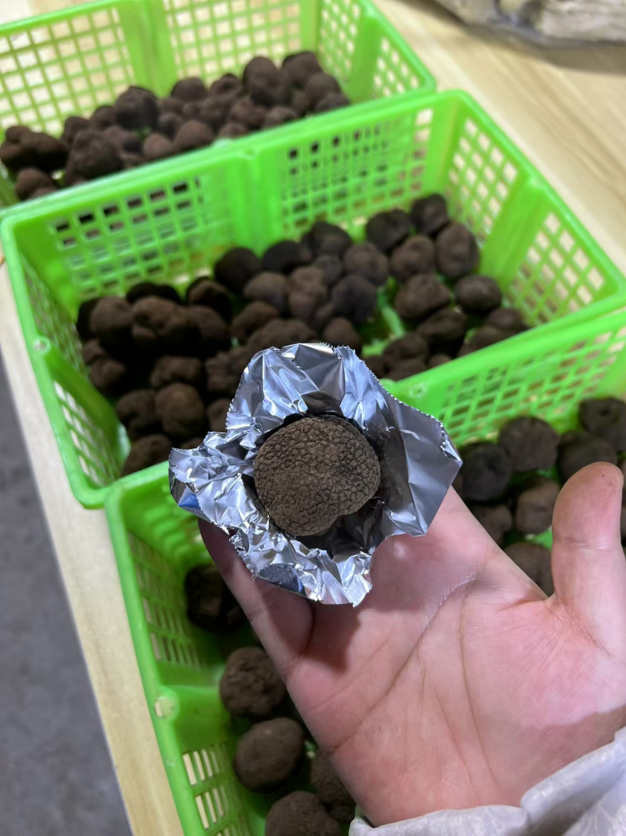 Fresh black truffles in harvest basket