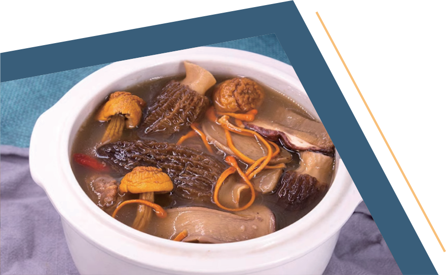 Dried Agaricus Blazei