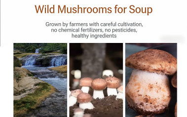 Dried Agaricus Blazei thumbnail 2