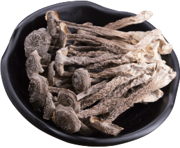 Dried Antler Mushroom