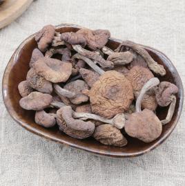 Dried Armillaria Mellea