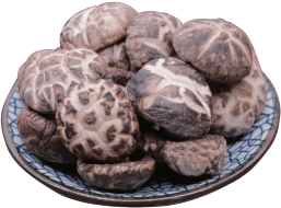 Dried Basswood Small Flower Mushroom
