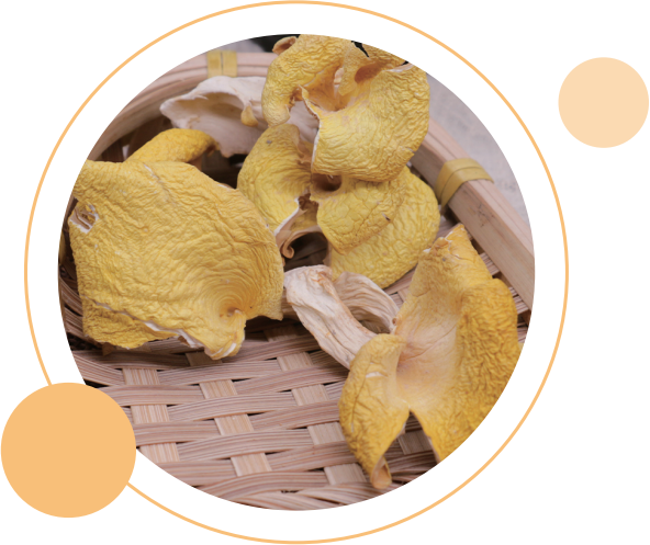 Dried Chanterelle