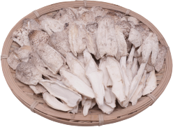 Dried Coprinus Comatus