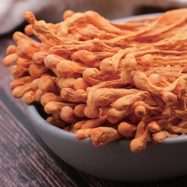 Dried Cordyceps Militaris Flower