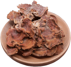 Dried Jelly-Ear Fungus