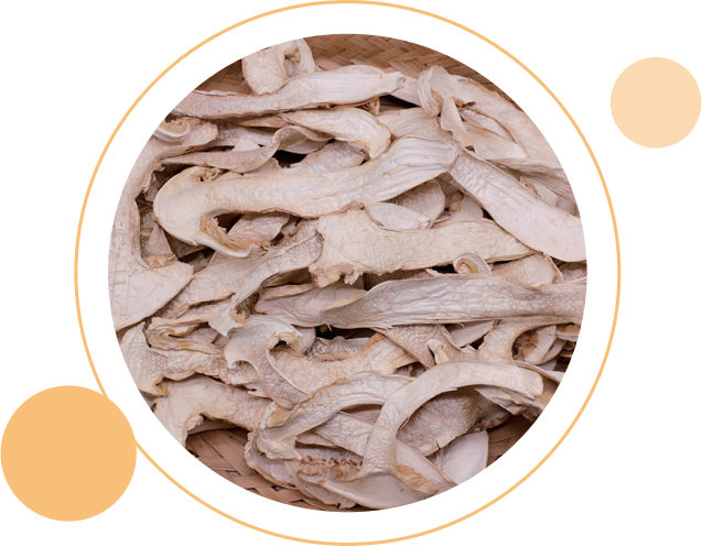 Dried Matsutake Slices