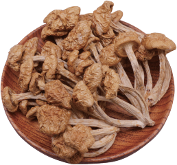 Dried Pholiota Nameko