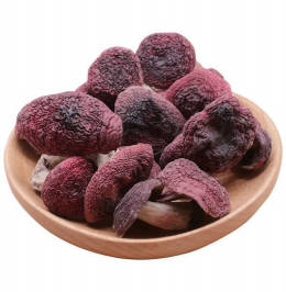Dried Russula