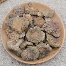 Dried Russula Virescens