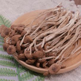 Dried Tea Fungus