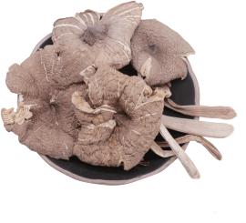 Dried Wild Termitomyces