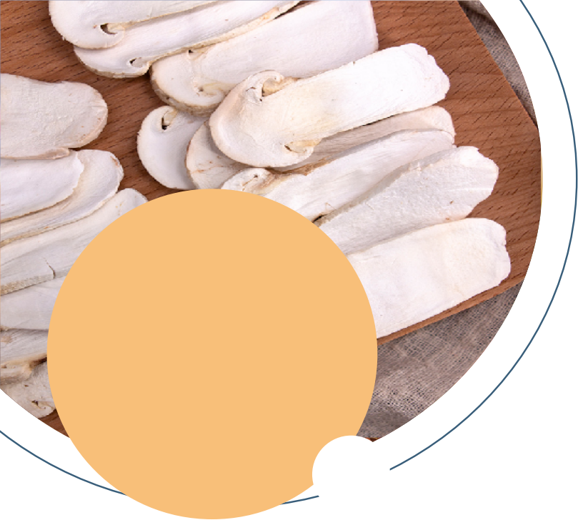 Dried Zhijin Bamboo Fungus thumbnail 2