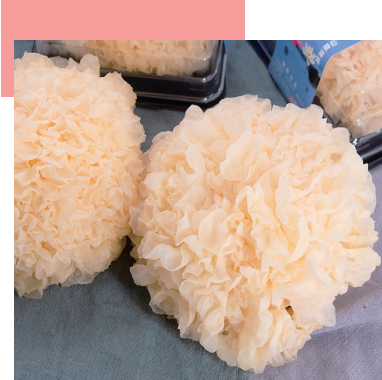 Tremella