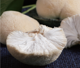 Fresh Hericium Erinaceus thumbnail 2