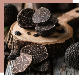 Black truffle cross-section with marbled interior